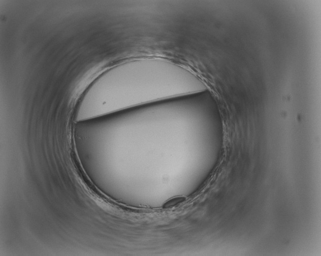 X0000076380005200610060937