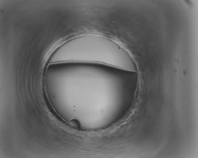 X0000076380007200610060937