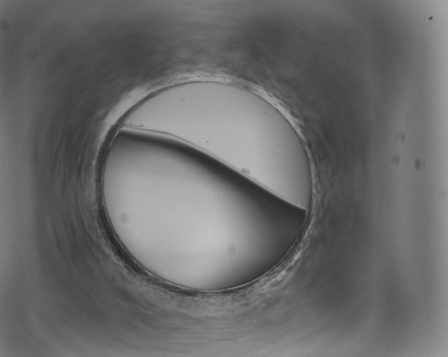 X0000076380008200610060937