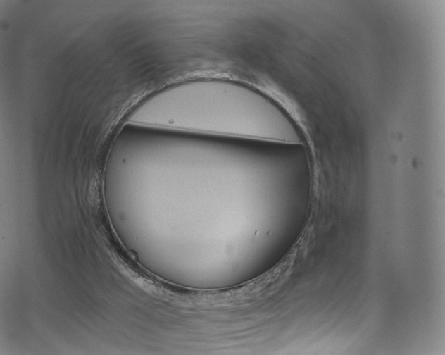 X0000076380009200610060937