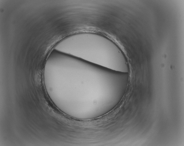 X0000076380010200610060937