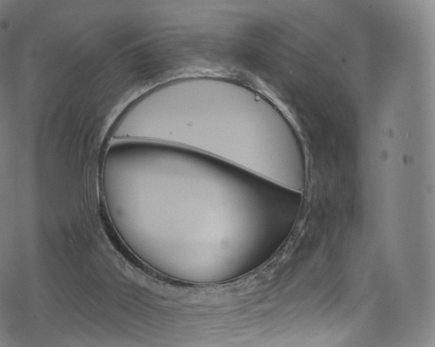 X0000076380011200610060937