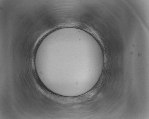 X0000076380012200610060937