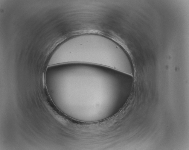 X0000076380013200610060937