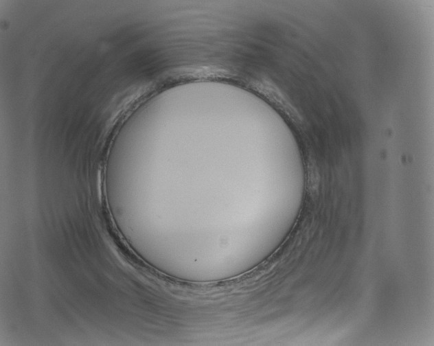 X0000076380014200610060937