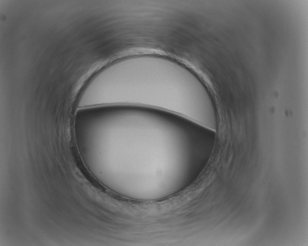 X0000076380015200610060937