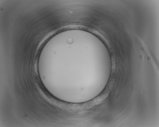 X0000076380016200610060937