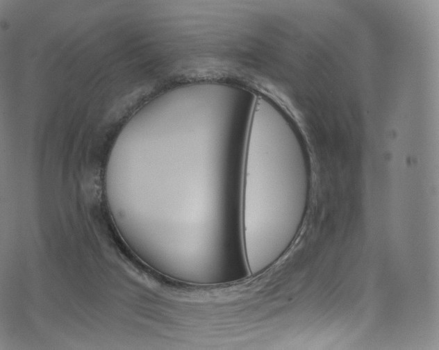 X0000076380017200610060937