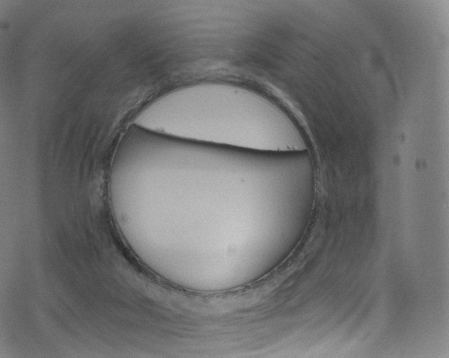 X0000076380018200610060937