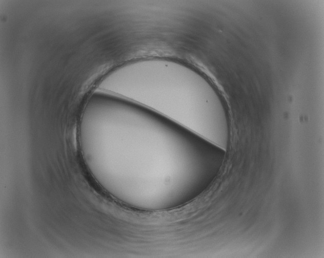 X0000076380019200610060937