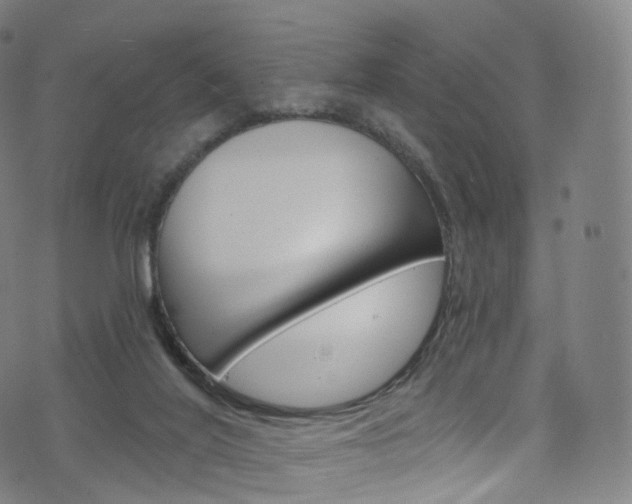 X0000076380020200610060937