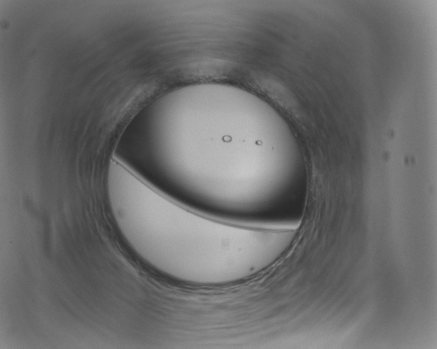 X0000076380021200610060937