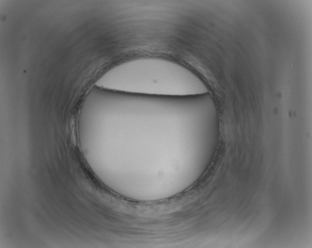 X0000076380022200610060937