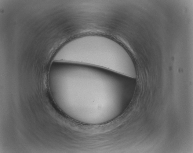 X0000076380023200610060937