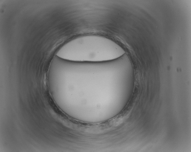 X0000076380024200610060937