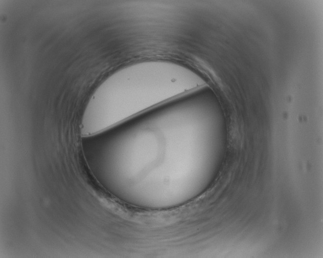 X0000076380025200610060937