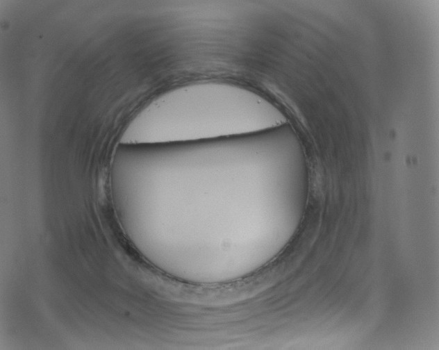 X0000076380026200610060937