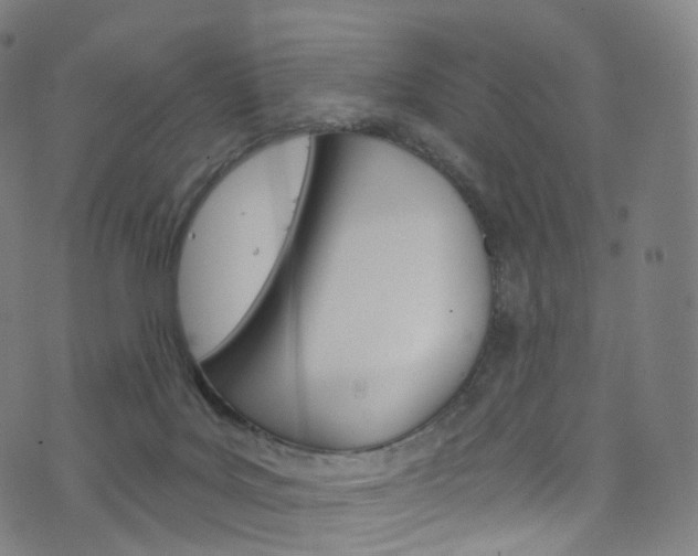 X0000076380027200610060937