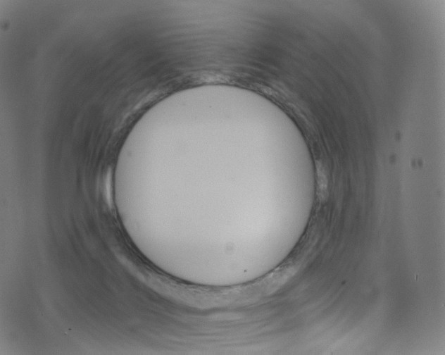 X0000076380028200610060937