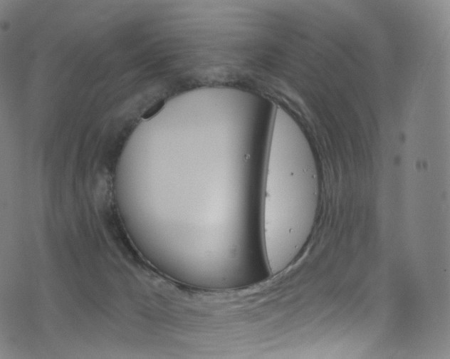 X0000076380029200610060937