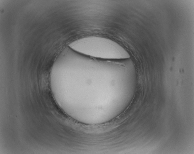 X0000076380030200610060937