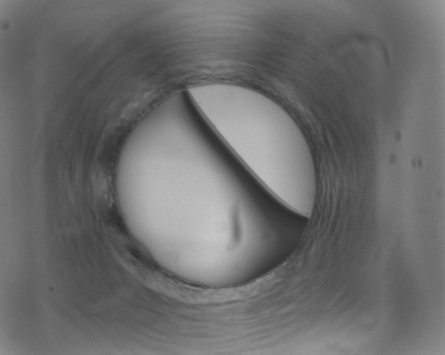 X0000076380031200610060937