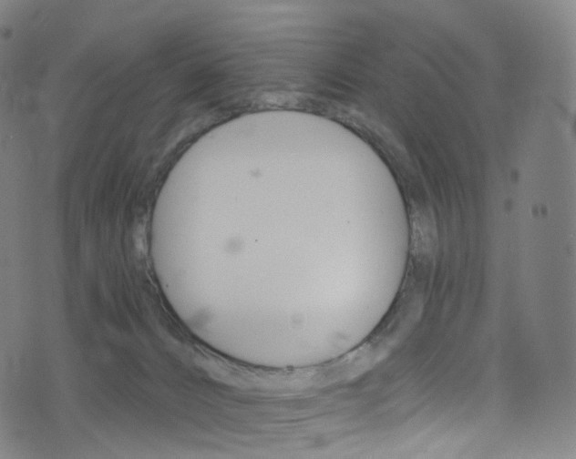 X0000076380032200610060937