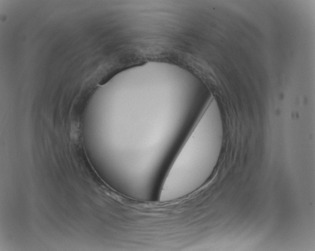 X0000076380033200610060937