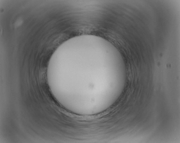 X0000076380034200610060937