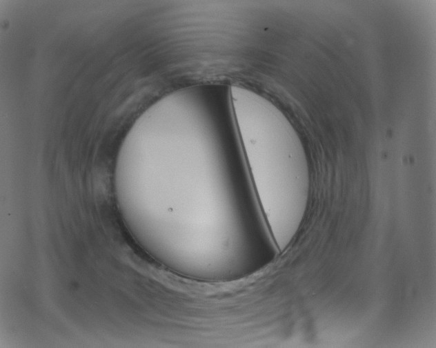 X0000076380035200610060937