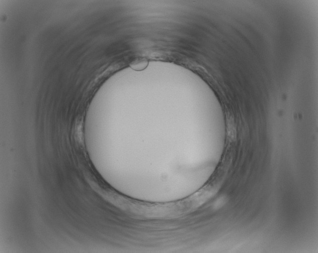 X0000076380036200610060937