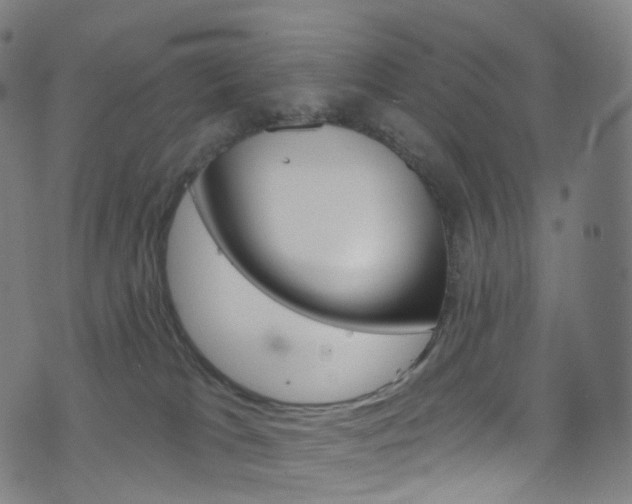 X0000076380037200610060937