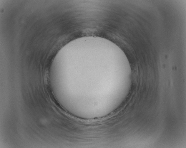 X0000076380038200610060937