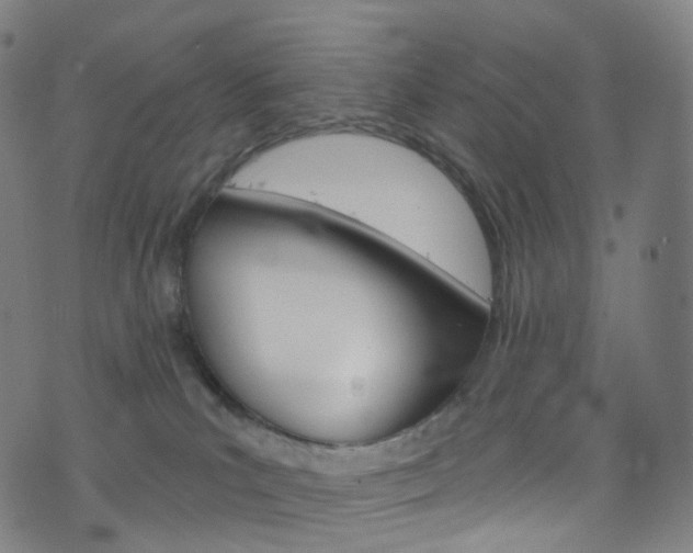 X0000076380039200610060937