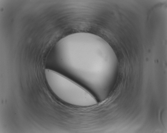 X0000076380040200610060937