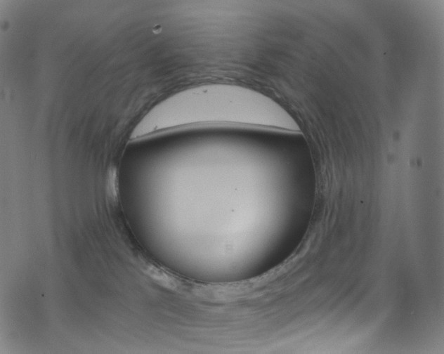 X0000076380041200610060937