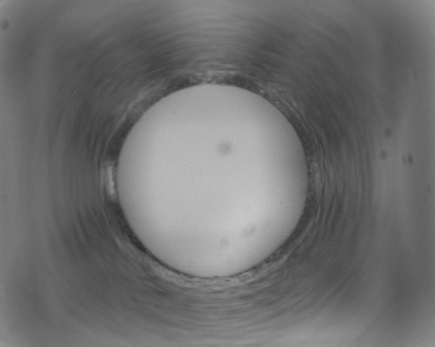 X0000076380042200610060937