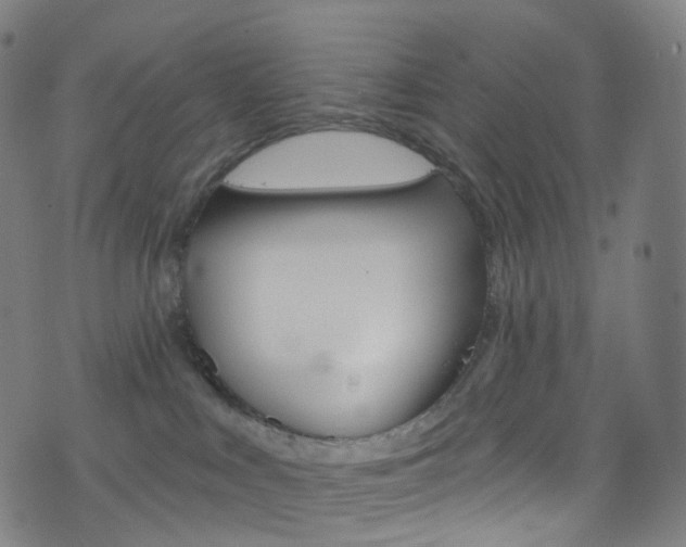 X0000076380043200610060937