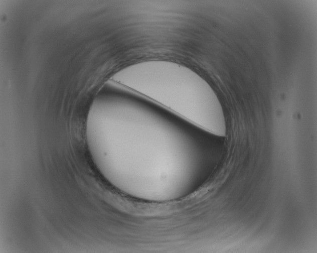 X0000076380044200610060937