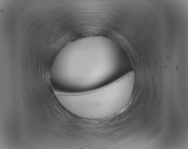 X0000076380045200610060937