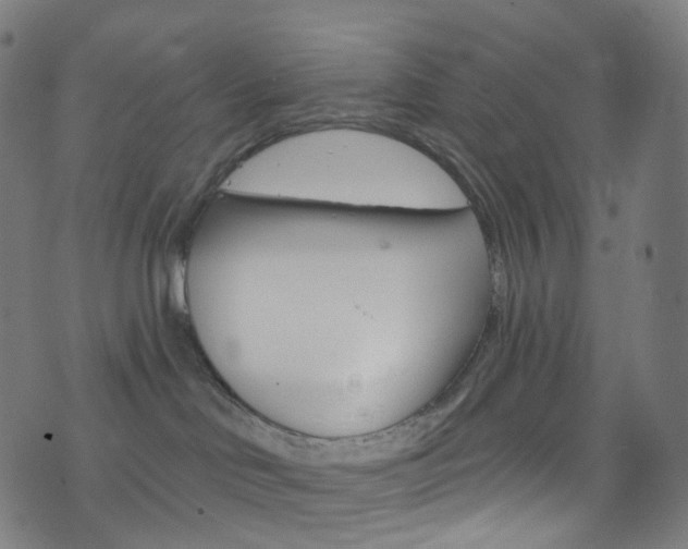 X0000076380046200610060937