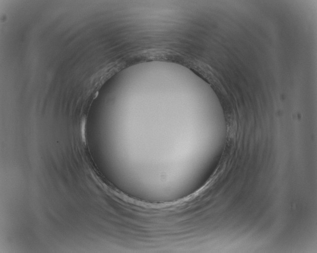 X0000076380047200610060937