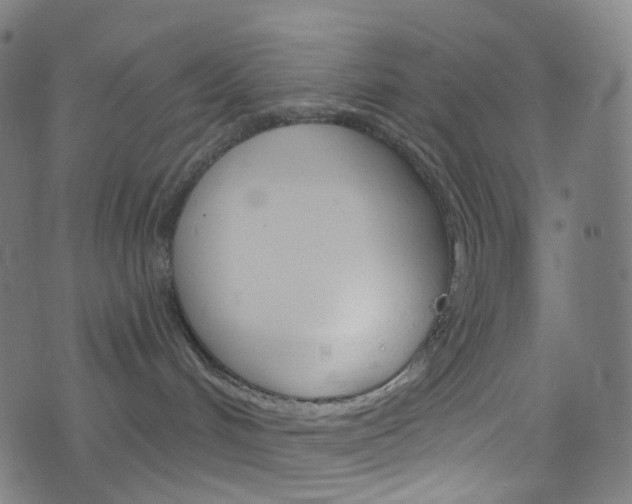 X0000076380048200610060937