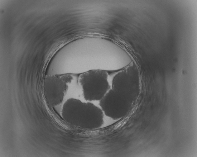 X0000076380049200610060936