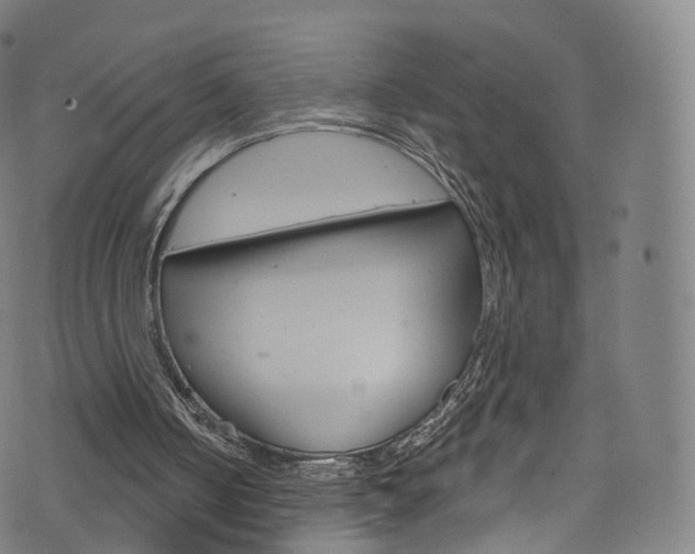 X0000076380050200610060936