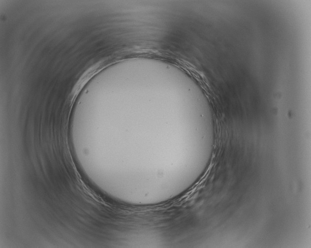 X0000076380051200610060936