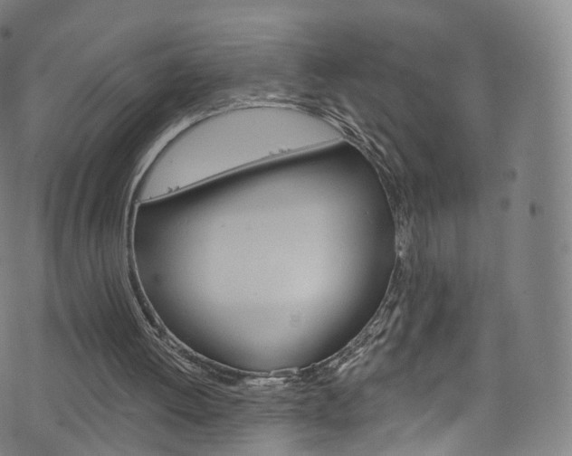 X0000076380052200610060936