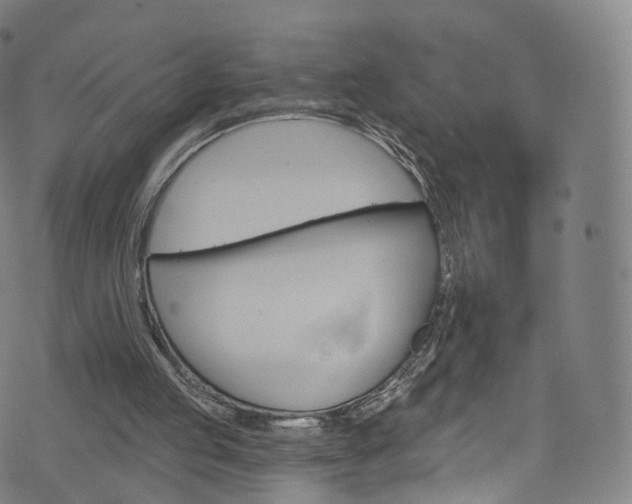 X0000076380053200610060936