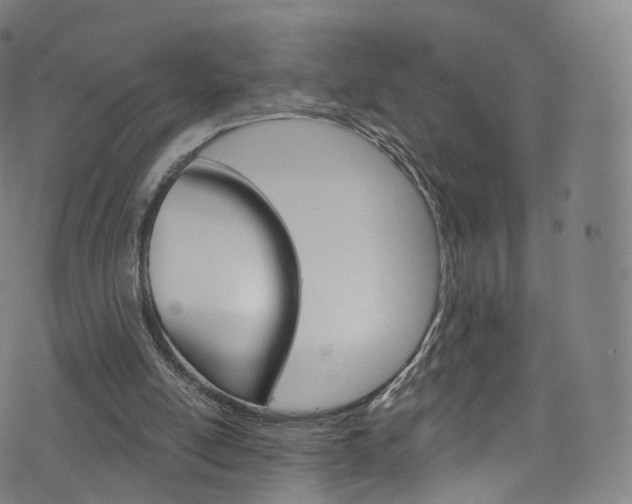 X0000076380054200610060936