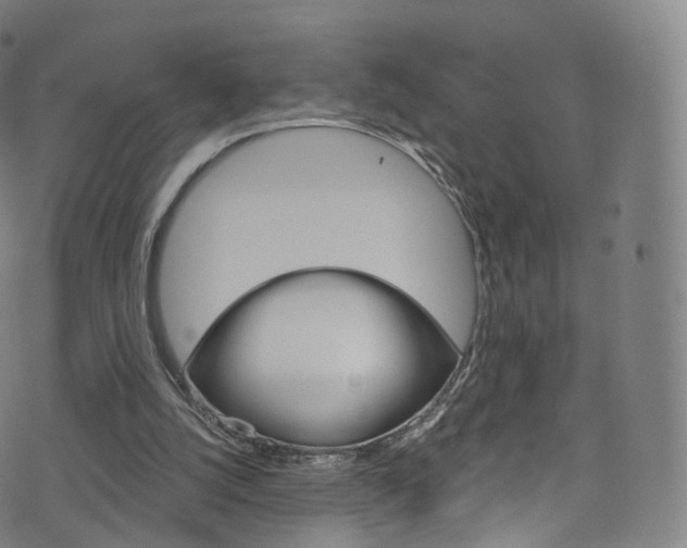 X0000076380056200610060936